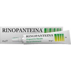 Rinopantina Ung 10 Gr