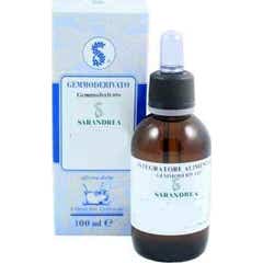 Sarandrea Groselha de Corinto Nigrum Glicerina Macerada 100Ml
