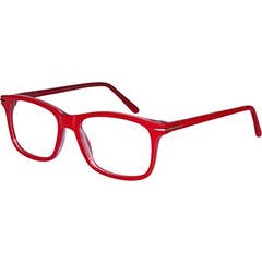 Horizane Smart Magnifier Rou D2.0
