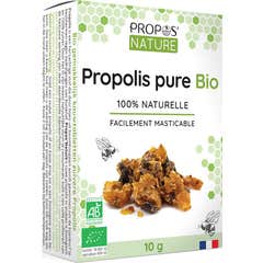 Sobre a Natureza Própolis Orgânica Pura Propolis 10G mastigáveis