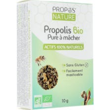 Sobre a Natureza Própolis Orgânica Pura Propolis 10G mastigáveis