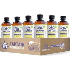 Kombuchá Gengibre Limão Bio 400 Ml Capta