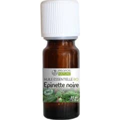 Óleo Essencial de Abeto Negro Orgânico da Natureza 10ml