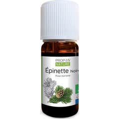 Óleo Essencial de Abeto Negro Orgânico da Natureza 10ml