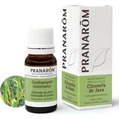 PranarÌ «m oleo essencial de citronela de java 10ml