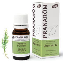 Pranarôm óleo essencial de árvore de chá ORGANIC 10ml