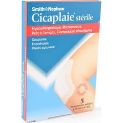 Cicaplaie Pansements Sterile 20x10cm 5uts