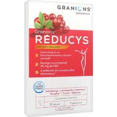 Granions Reduzir 30caps Granions Reduzir 30caps