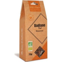 Tecido Nat&Form Badiane Bio 75G