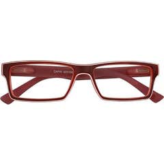 Acorvision Folding Brown Goggles +2,50
