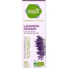Pharmascience Lavandin Óleo Essencial de Lavandina Grosso Bio 10ml