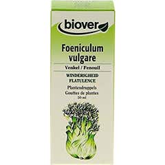 Extracto de Foeniculum Vulgare 50ml de Funcho Biover