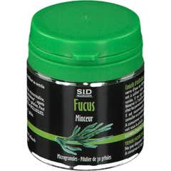 Sidn Fucus Gelu Bt30