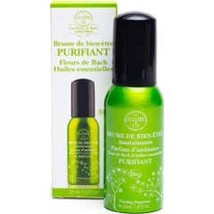 Elixirs&Co Bruma Purificante Bio 30ml