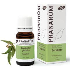 Óleo essencial de eucalipto Pranarô BIO 10ml