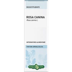 Rosa Canina Bac Tint Ial 50Ml