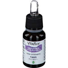 Vitaflor Extracto Orgânico de Groselhas Negras 15ml