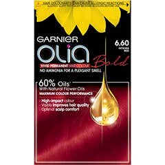 Garnier Olia Tinte Cabello Nro 6.60 Rojo Intenso 1ud