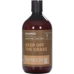 Benecos Bio Champú Cabello Normal Cañamo 500ml