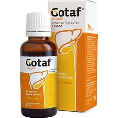 Materfarma Gotaf Gotas Solução Oral 30ml