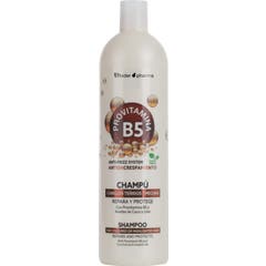 Th Pharma Provitaminas B5 Champu Cabellos Teñidos Mechas 1l