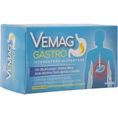 Vemag Gastro 20 Stick