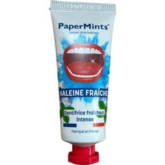 PaperMints Dentífrico Hálito Fresco Frescura Intensa 25 ml