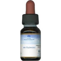 Minhas Flores Flores Gotas Mediter