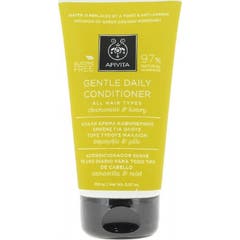 Apivita Conditioner Daily Use 100ml