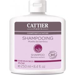 Champô Cabelos Secos Cattier 250ml