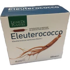 Ligne De Plantes Eleuterococco Bio 15x15ml