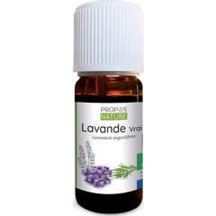 Proposta Óleo Essencial Orgânico Verdadeiro Lavanda 10ml