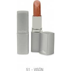 Maquilhagem para os lábios das unhas N°65 5g