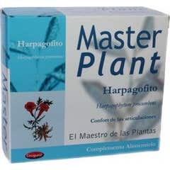 Planta Mestre Harpagofito 10 10 Ml Ampolas