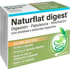 Faes Farma Nutraflat Digest 45caps