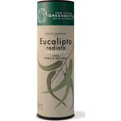 The Little Green Bottle Óleo Essencial de Eucalipto Radiata 15 ml
