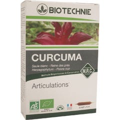 Biotecnologia Cúrcuma 20 frascos
