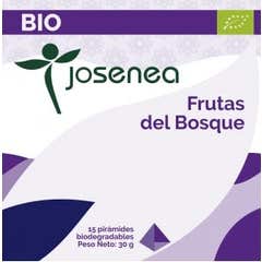 Frutos de Josenea da floresta bio box 15 pirâmides