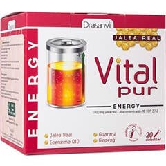 Drasanvi Vitalpur Royal Jelly Energy 20pcsx15ml