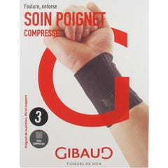 Gibaud Poign Conseil 5033 T3