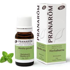 Menta Verde Pranarom He Orgânico 10ml