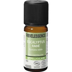 Revelessence Aceite Esencial Eucalipto Radiado 10ml