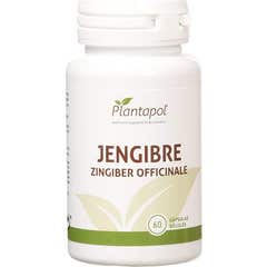 PlantaPol Gengibre 600mg 60caps