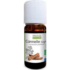 Proposta Aceite Natural Canela do Ceilão Esencial Orgânico 10ml