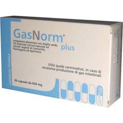 Gasnorm Plus 36 Cápsulas