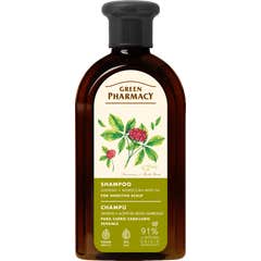 Green Pharmacy Champô Ginseng Hortelã Marroqui Couro Sens 350 ml