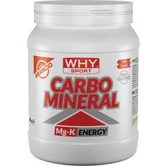 Why Sport Carbo Mineral 500g Why Sport Carbo Mineral 500g