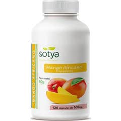 Sotya Manga Africana 650mg 120cáps Sotya Manga Africana 650mg 120cáps