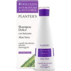 Champô Aloé V Doce de Plantadora