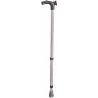 Vilgo English Cane Regl Enf 1